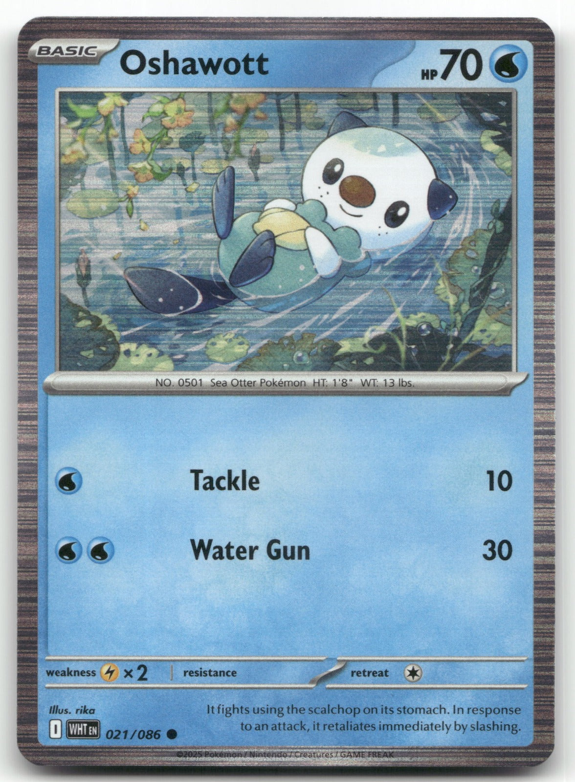 Oshawott Common SV: White Flare 021/086 NM