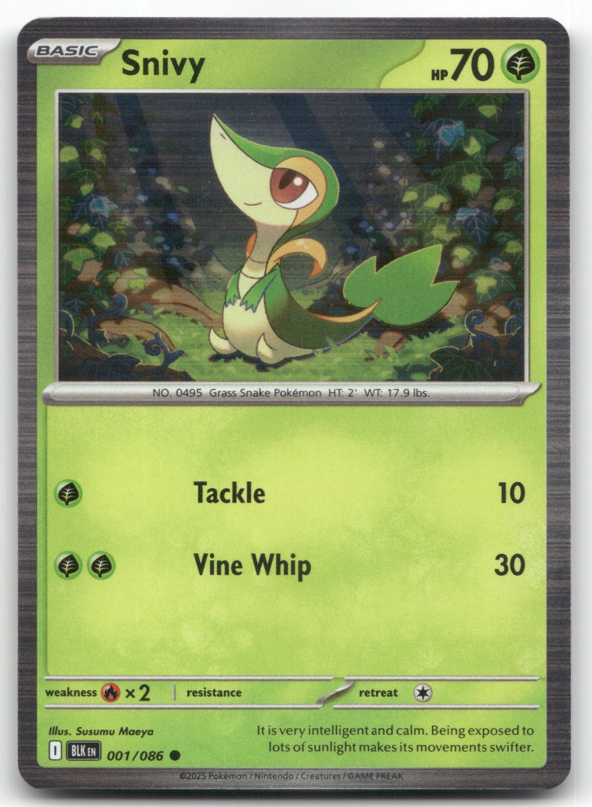 Snivy Common SV: Black Bolt 001/086 NM