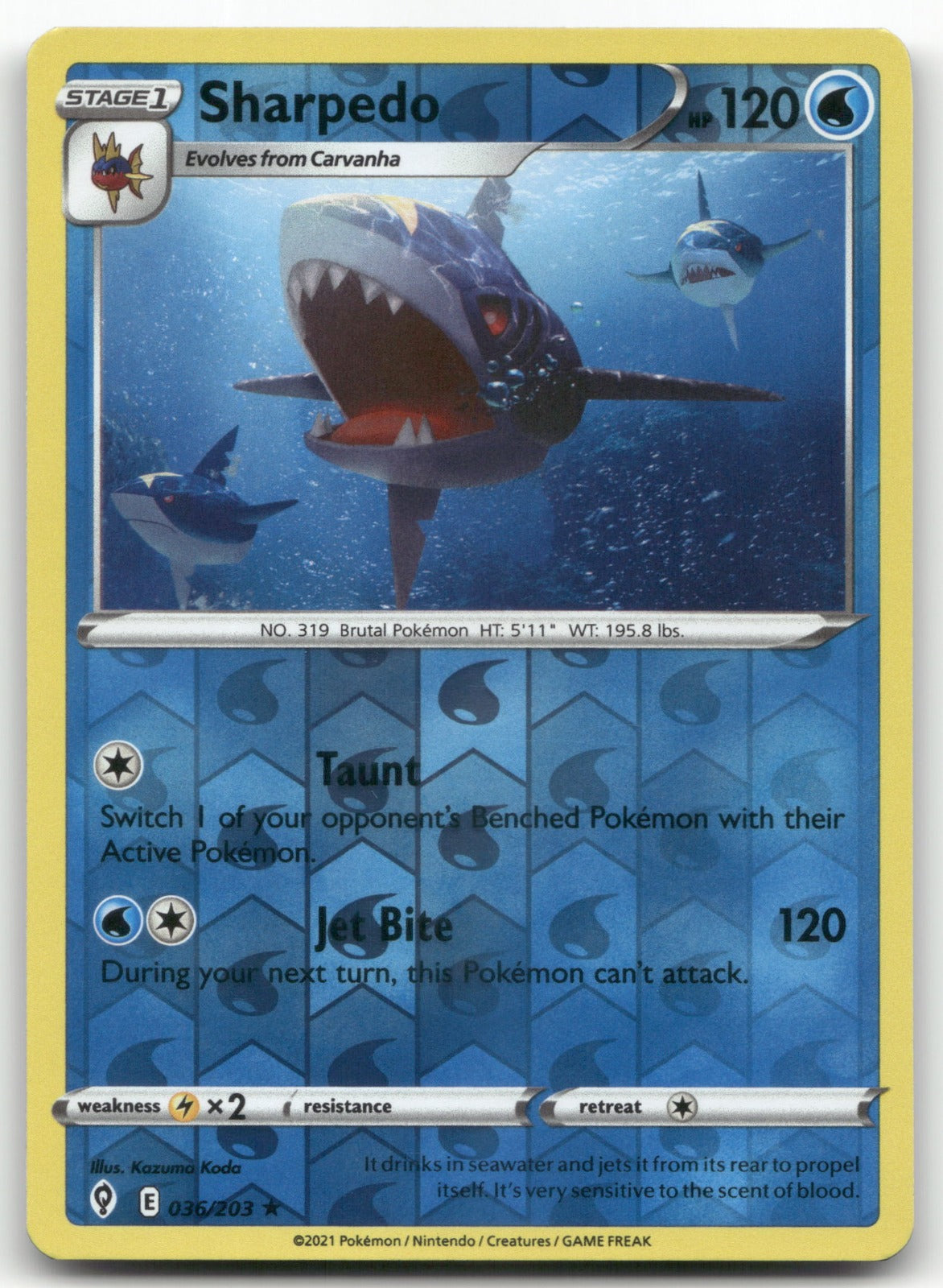 Sharpedo Rare SWSH07: Evolving Skies 036/203 NM